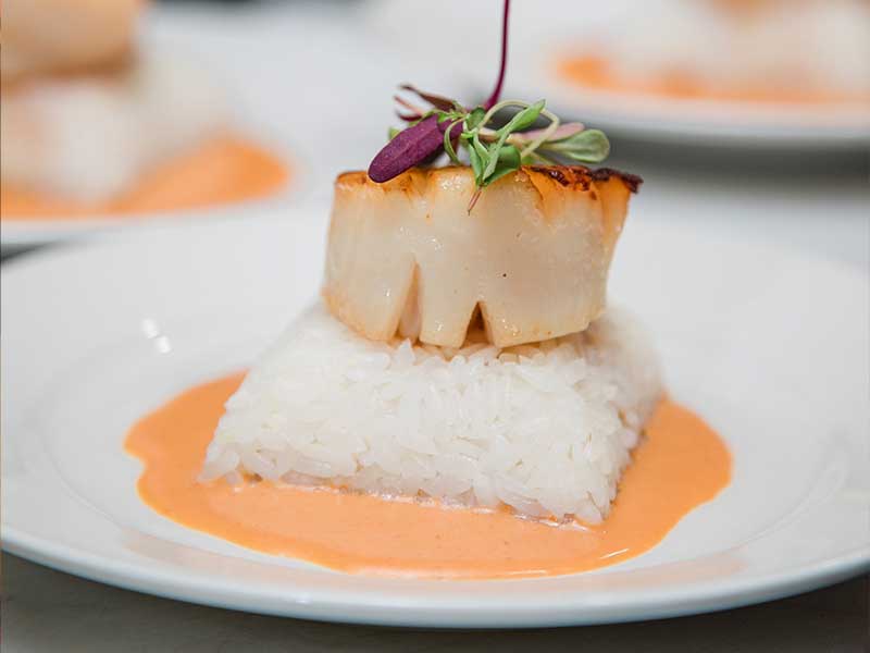 Grilled scallop on white rice on a white plate
